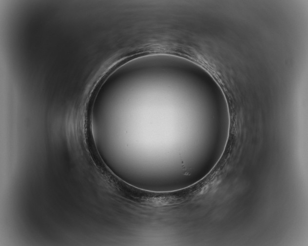 X0000093460103200710121414