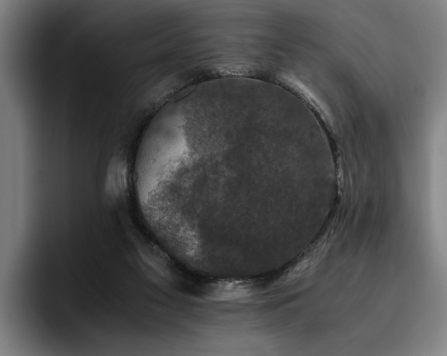 X0000093460117200710121413