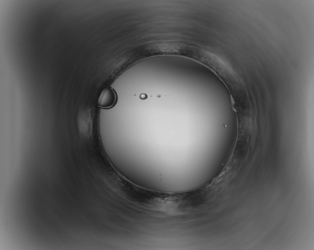 X0000093460120200710121413