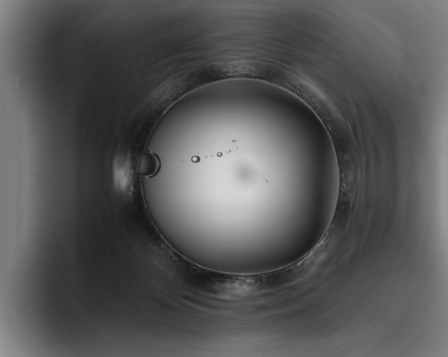 X0000093460124200710121413