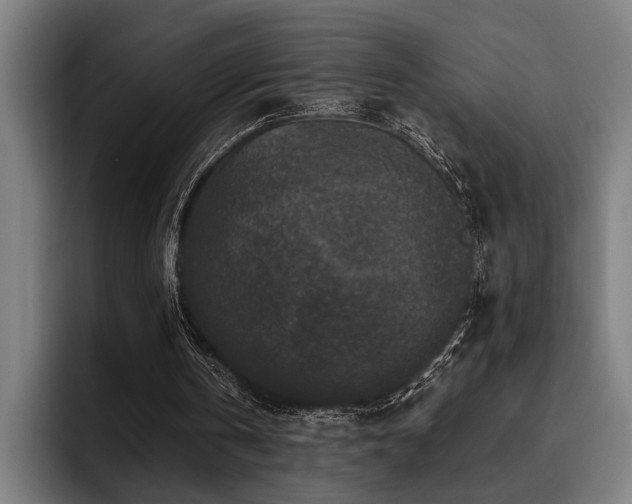 X0000093460146200710121413