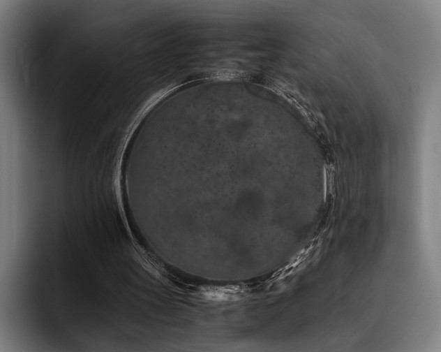 X0000093460147200710121413