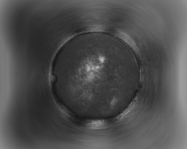 X0000093460156200710121413