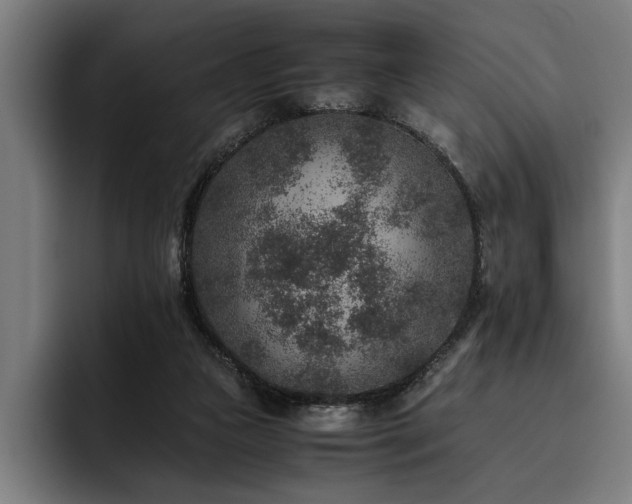X0000093460161200710121413