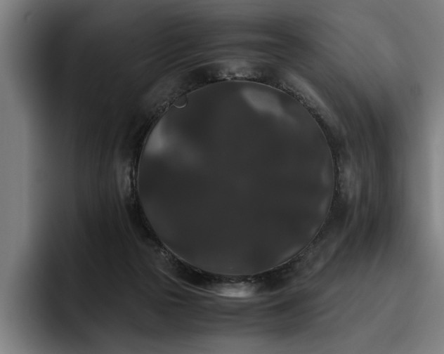 X0000093460169200710121413