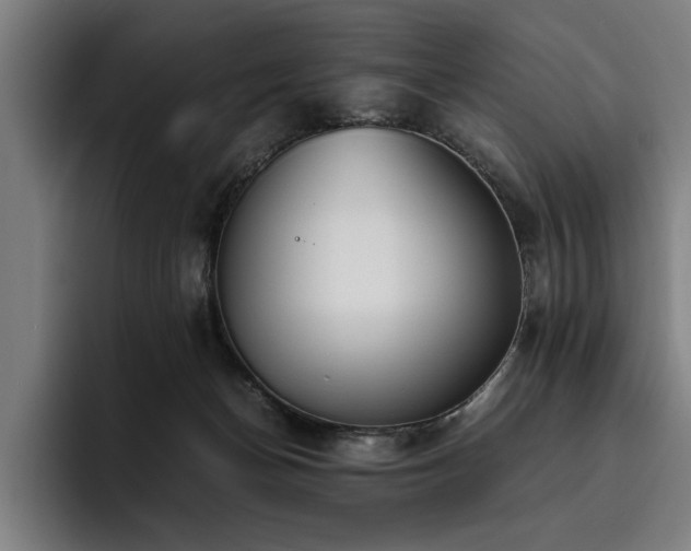 X0000093460174200710121413