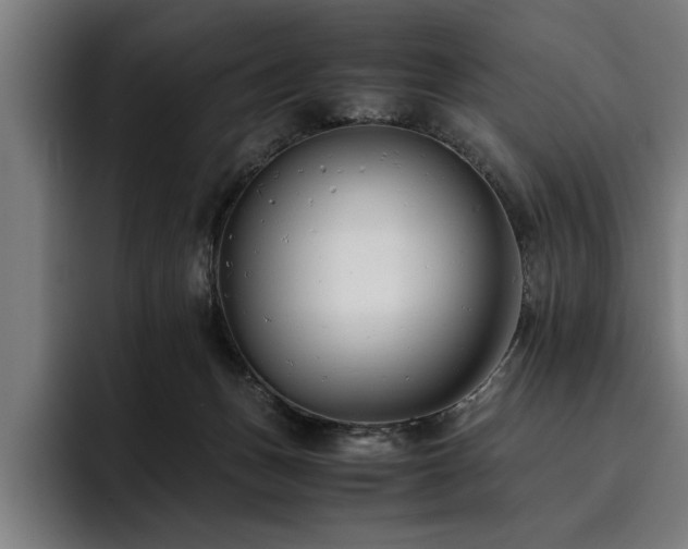 X0000093460175200710121413