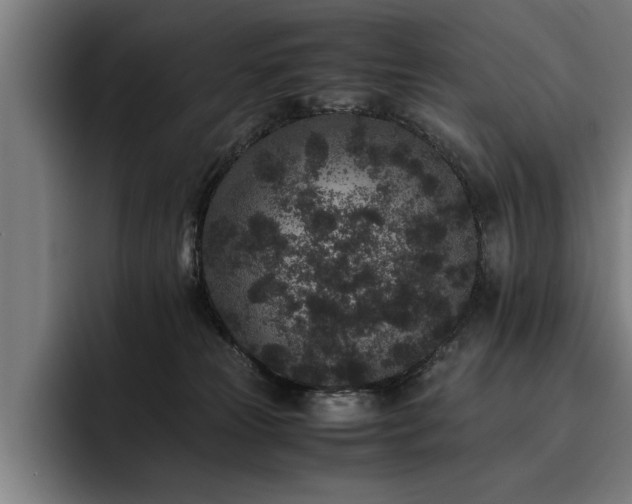 X0000093460181200710121413
