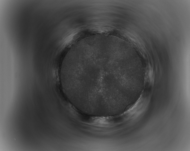 X0000093460182200710121413