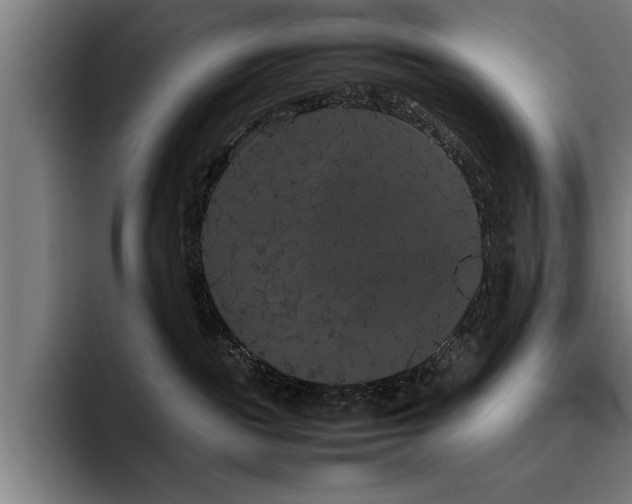 X0000093460189200710121413