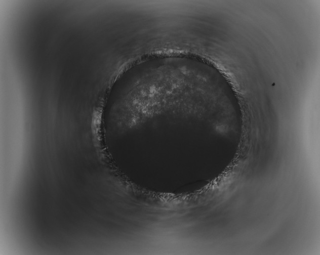 X0000093460192200710121413