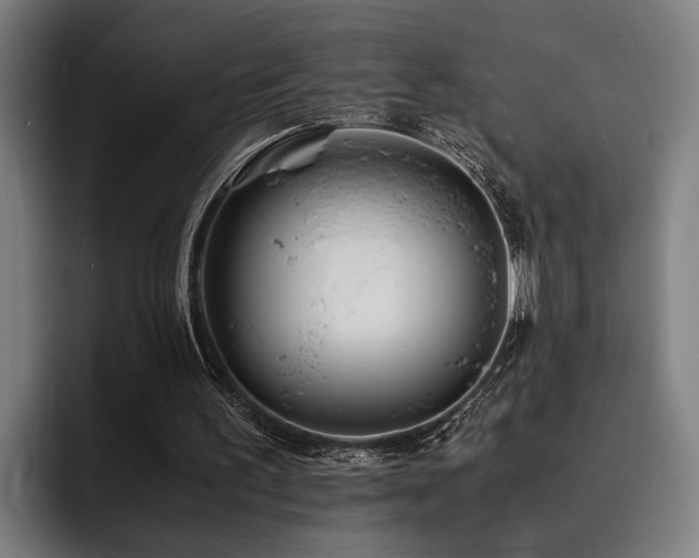 X0000093460195200710121412