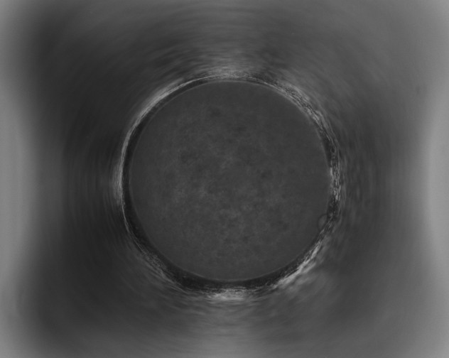 X0000093460196200710121412