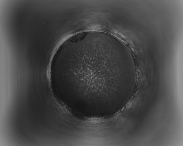 X0000093460200200710121412