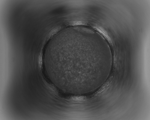 X0000093460202200710121412