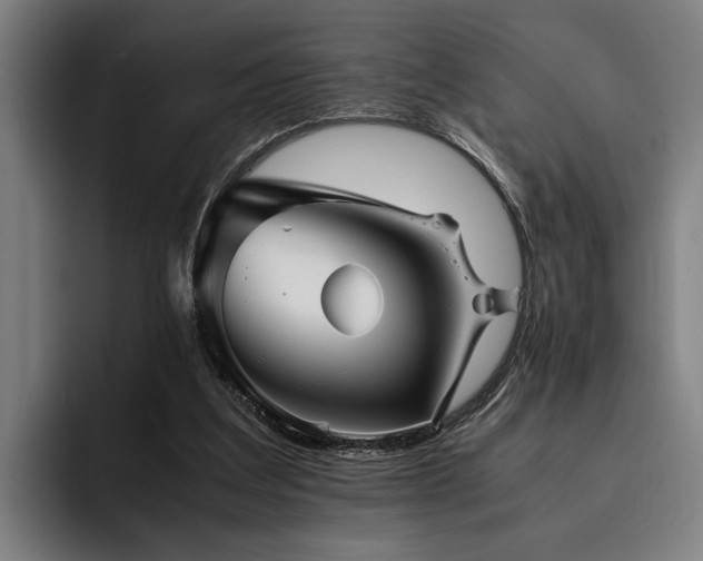 X0000093460203200710121412