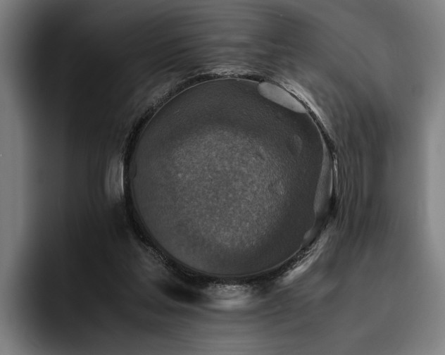 X0000093460205200710121412