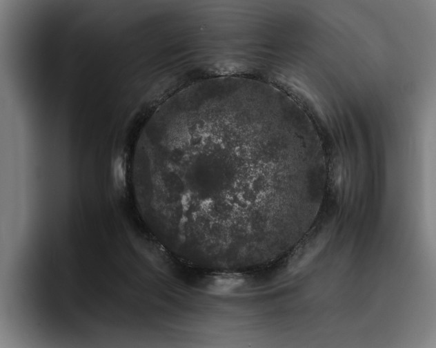 X0000093460214200710121412