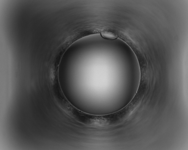 X0000093460215200710121412