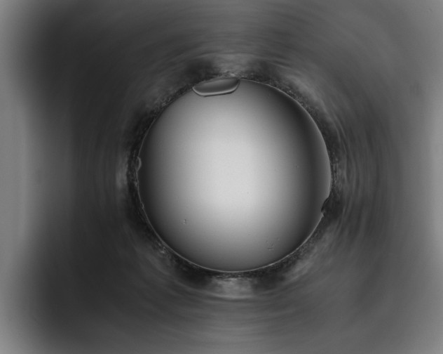 X0000093460221200710121412