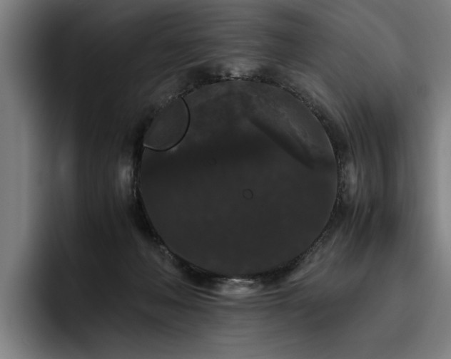 X0000093460222200710121412