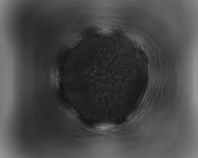 X0000093460223200710121412