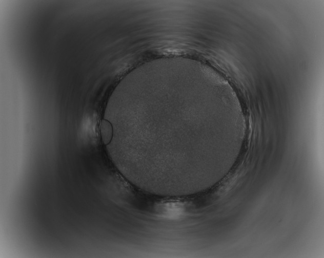 X0000093460228200710121412