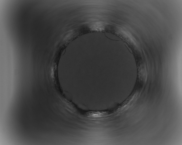 X0000093460229200710121412