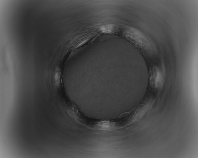 X0000093460231200710121412