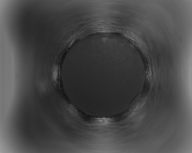 X0000093460233200710121412