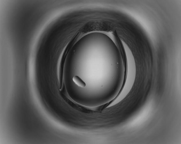 X0000093460239200710121412