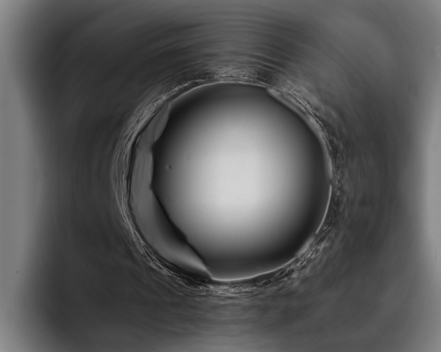 X0000093460241200710121411