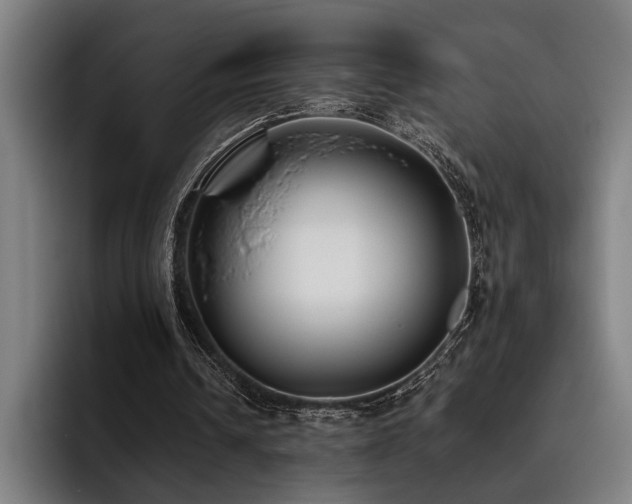 X0000093460242200710121411