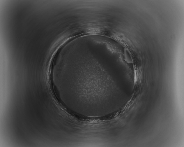 X0000093460243200710121411