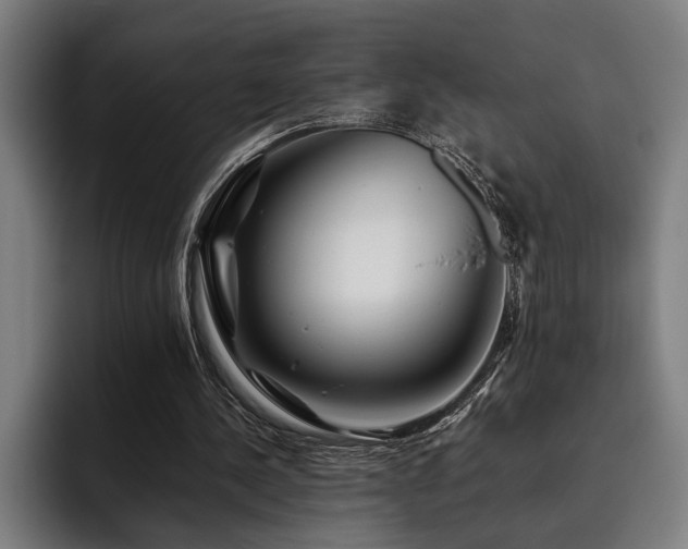 X0000093460244200710121411