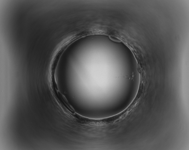 X0000093460245200710121411