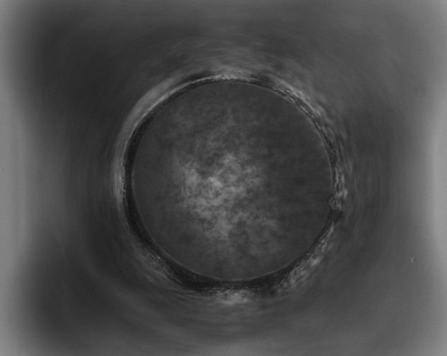 X0000093460247200710121411