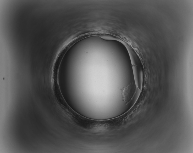 X0000093460248200710121411