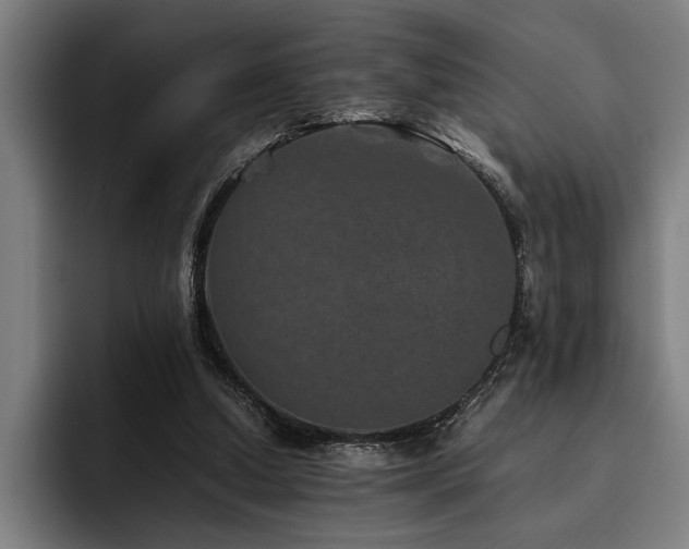 X0000093460250200710121412