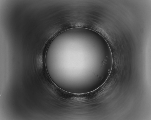 X0000093460251200710121412