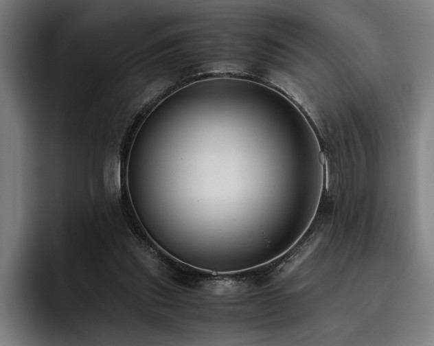 X0000093460253200710121412