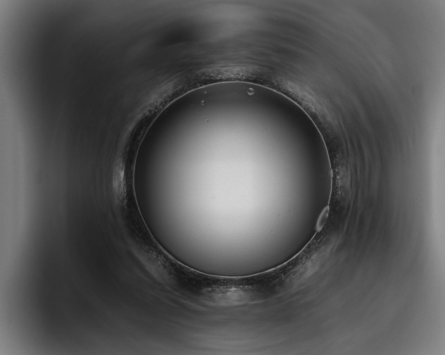 X0000093460254200710121412