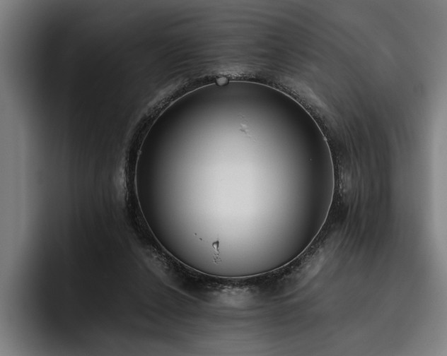 X0000093460256200710121412