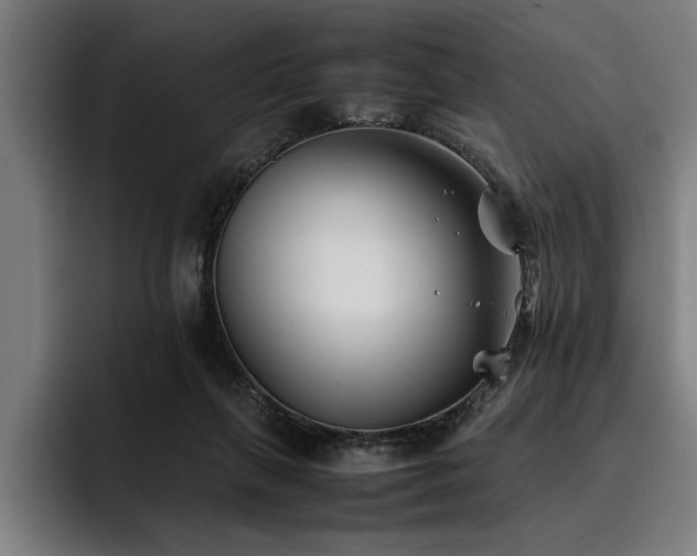 X0000093460263200710121412