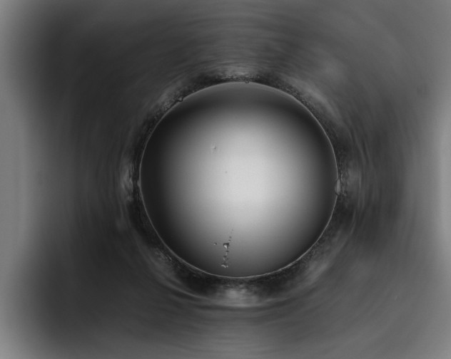 X0000093460264200710121412