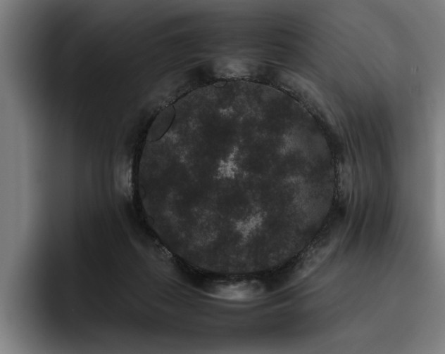 X0000093460267200710121412