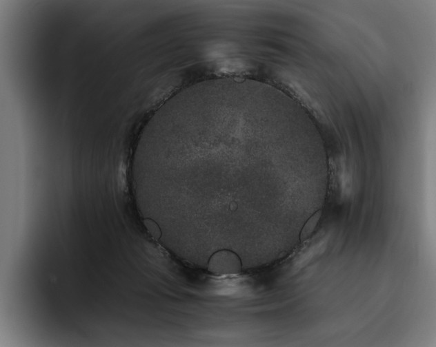 X0000093460269200710121412