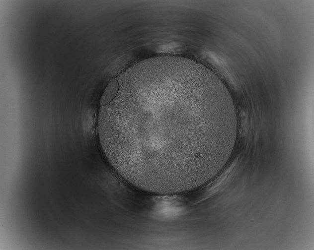 X0000093460273200710121412