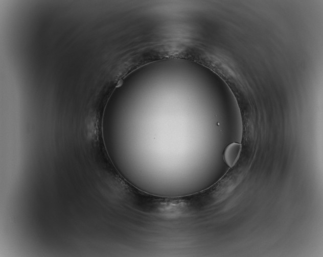 X0000093460274200710121412