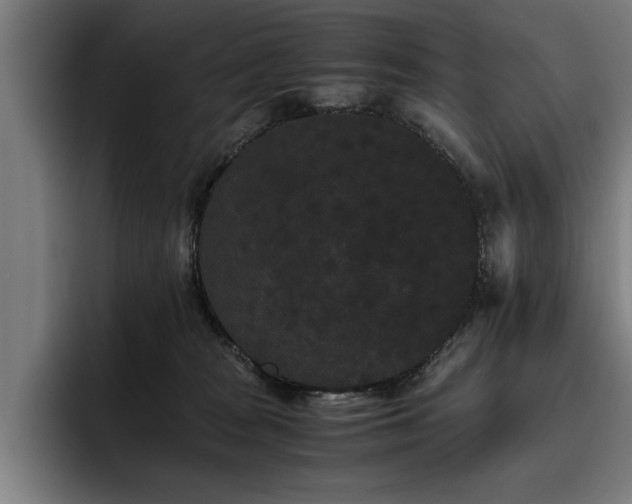 X0000093460277200710121412